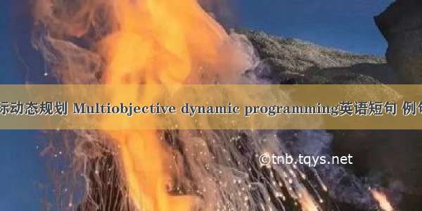 多目标动态规划 Multiobjective dynamic programming英语短句 例句大全