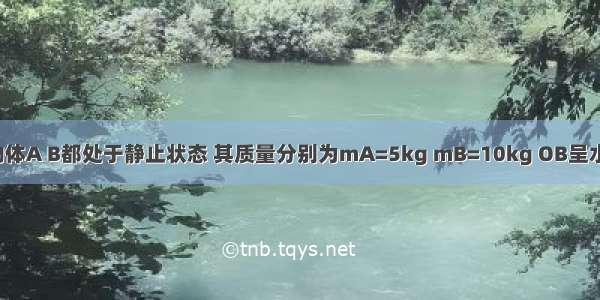 如图所示 物体A B都处于静止状态 其质量分别为mA=5kg mB=10kg OB呈水平 OP与竖