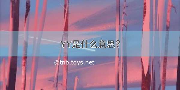 YY是什么意思？