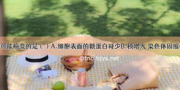 下列细胞可能癌变的是（）A.细胞表面的糖蛋白减少B.核增大 染色体固缩C.酶的活