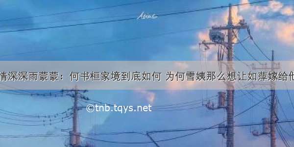 情深深雨蒙蒙：何书桓家境到底如何 为何雪姨那么想让如萍嫁给他