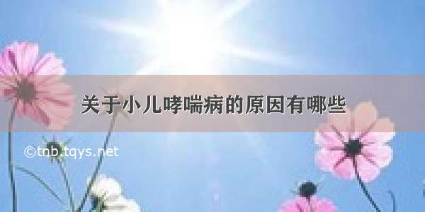 关于小儿哮喘病的原因有哪些