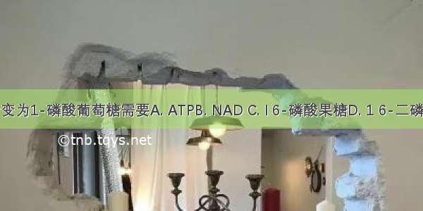 葡萄糖转变为1-磷酸葡萄糖需要A. ATPB. NAD C. l 6-磷酸果糖D. 1 6-二磷酸葡萄糖