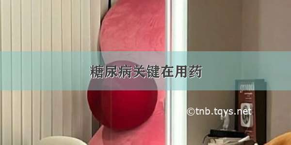 糖尿病关键在用药