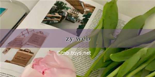 zy web