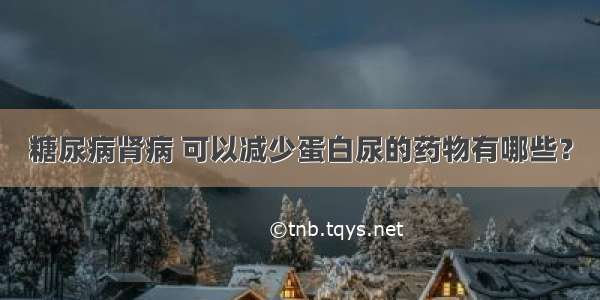 糖尿病肾病 可以减少蛋白尿的药物有哪些？