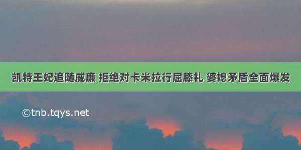 凯特王妃追随威廉 拒绝对卡米拉行屈膝礼 婆媳矛盾全面爆发