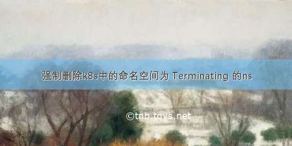 强制删除k8s中的命名空间为 Terminating 的ns