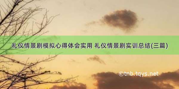 礼仪情景剧模拟心得体会实用 礼仪情景剧实训总结(三篇)