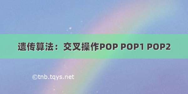 遗传算法：交叉操作POP POP1 POP2