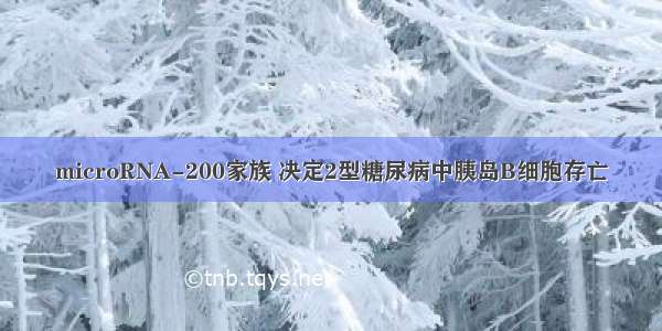 microRNA-200家族 决定2型糖尿病中胰岛B细胞存亡