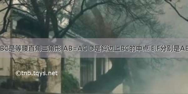 如图三角形ABC是等腰直角三角形 AB=AC D是斜边上BC的中点 E.F分别是AB.AC边上的点