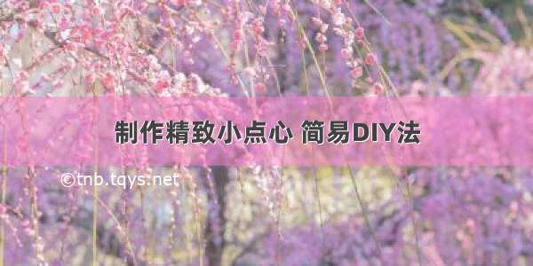 制作精致小点心 简易DIY法