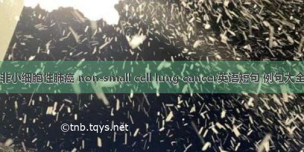 非小细胞性肺癌 non-small cell lung cancer英语短句 例句大全