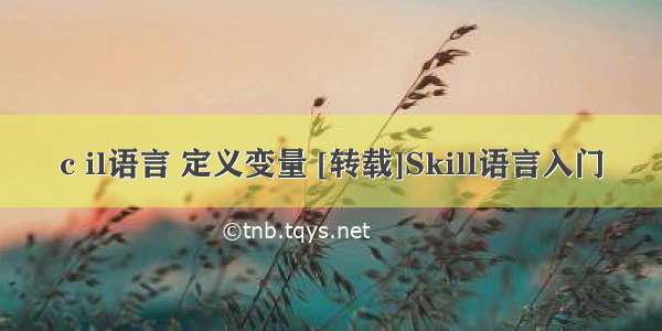 c il语言 定义变量 [转载]Skill语言入门