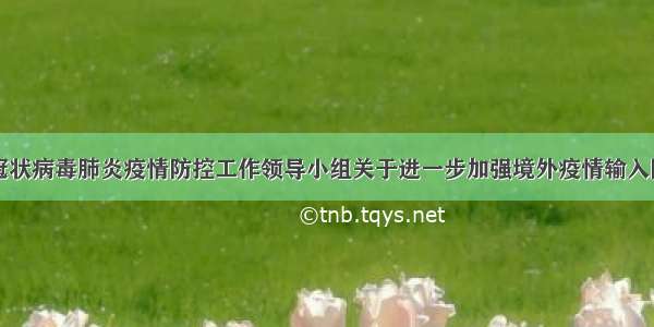 浙江省新型冠状病毒肺炎疫情防控工作领导小组关于进一步加强境外疫情输入防控工作的通