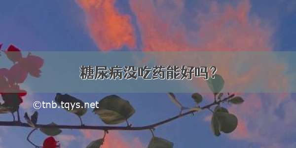 糖尿病没吃药能好吗？