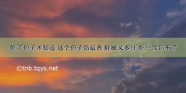 吃了包子才知道 这个包子馅最香 鲜嫩又多汁 吃一次忘不了