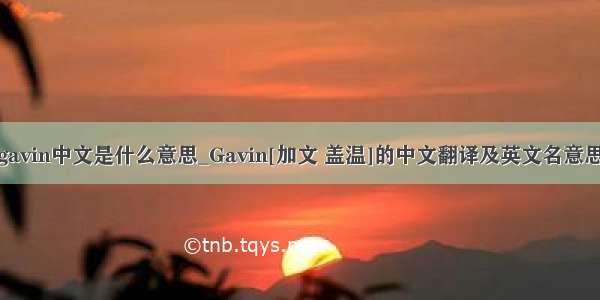 gavin中文是什么意思_Gavin[加文 盖温]的中文翻译及英文名意思