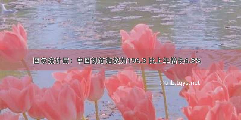 国家统计局：中国创新指数为196.3 比上年增长6.8%