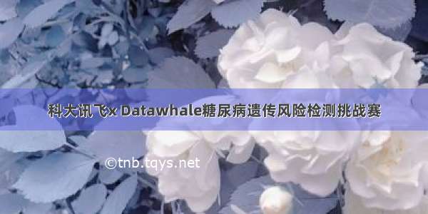 科大讯飞x Datawhale糖尿病遗传风险检测挑战赛