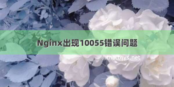 Nginx出现10055错误问题