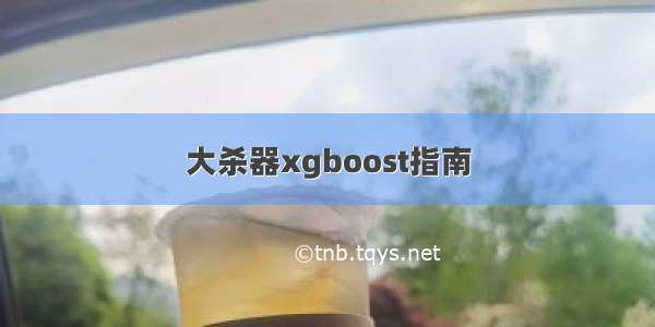 大杀器xgboost指南