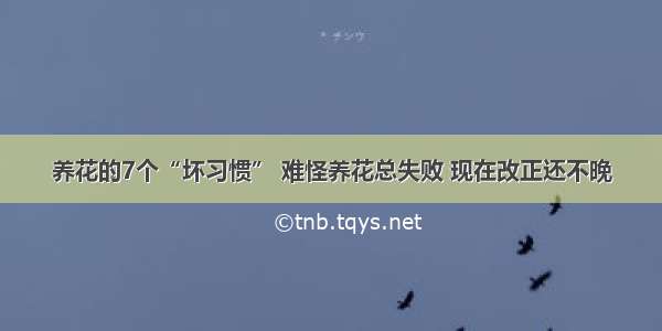 养花的7个“坏习惯” 难怪养花总失败 现在改正还不晚