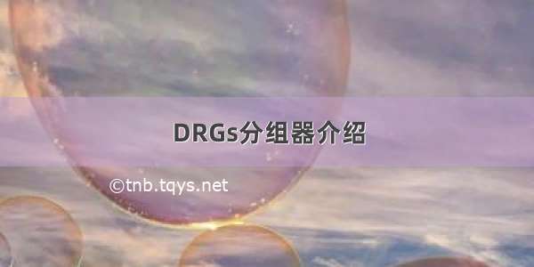 DRGs分组器介绍