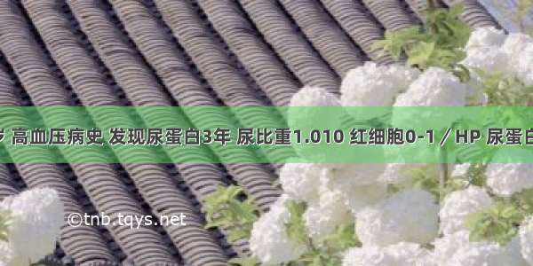 女 68岁 高血压病史 发现尿蛋白3年 尿比重1.010 红细胞0-1／HP 尿蛋白0.45g