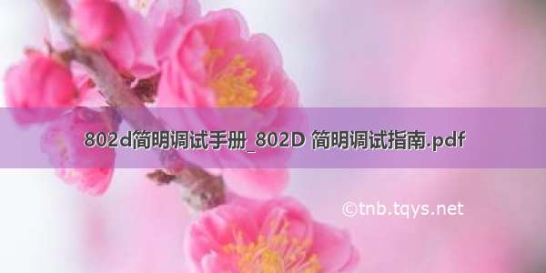 802d简明调试手册_802D 简明调试指南.pdf