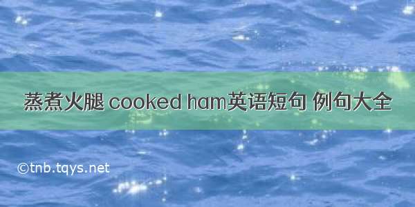 蒸煮火腿 cooked ham英语短句 例句大全