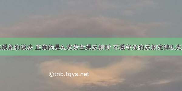 下列关于光现象的说法 正确的是A.光发生漫反射时 不遵守光的反射定律B.光从空气斜射