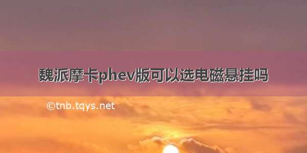 魏派摩卡phev版可以选电磁悬挂吗