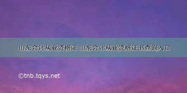 山东会计从业资格证 山东会计从业资格证书查询入口