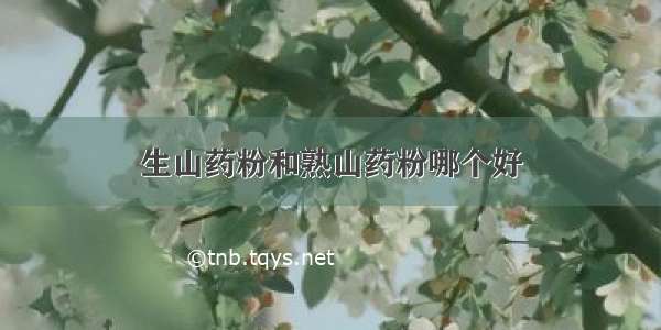 生山药粉和熟山药粉哪个好