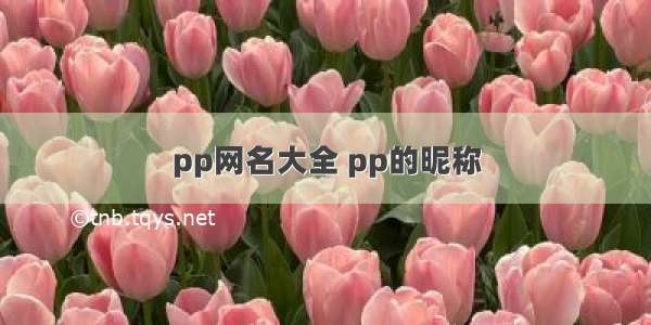 pp网名大全 pp的昵称