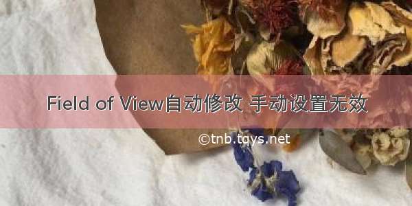 Field of View自动修改 手动设置无效