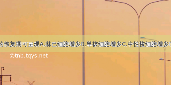 急性传染病的恢复期可呈现A.淋巴细胞增多B.单核细胞增多C.中性粒细胞增多D.嗜酸性粒细