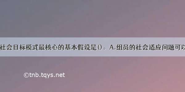 小组工作中 社会目标模式最核心的基本假设是()。A.组员的社会适应问题可以得到治疗和