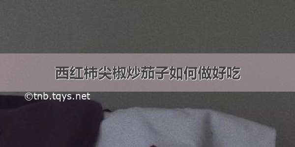 西红柿尖椒炒茄子如何做好吃