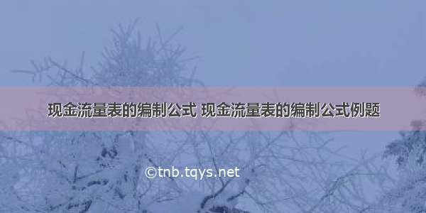 现金流量表的编制公式 现金流量表的编制公式例题