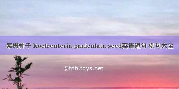 栾树种子 Koelreuteria paniculata seed英语短句 例句大全