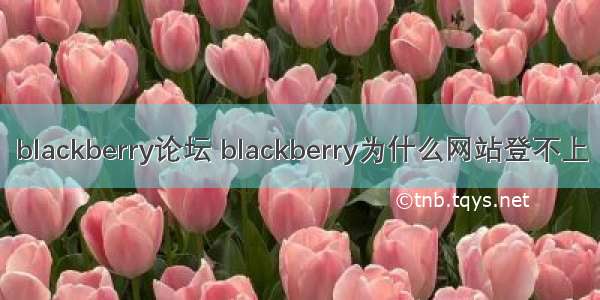 blackberry论坛 blackberry为什么网站登不上