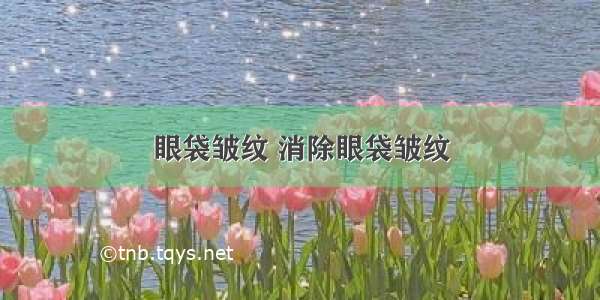 眼袋皱纹 消除眼袋皱纹