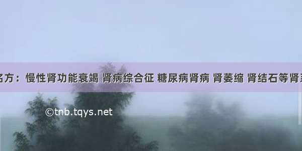 名医名方：慢性肾功能衰竭 肾病综合征 糖尿病肾病 肾萎缩 肾结石等肾系疾病