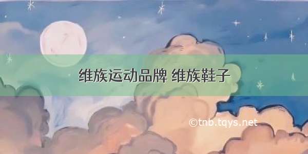 维族运动品牌 维族鞋子