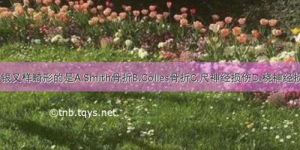 伤后表现为银叉样畸形的是A.Smith骨折B.Colles骨折C.尺神经损伤D.桡神经损伤E.正中神