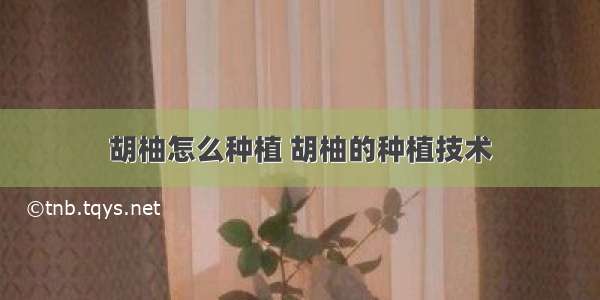 胡柚怎么种植 胡柚的种植技术