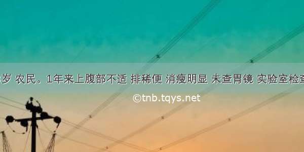 男性 68岁 农民。1年来上腹部不适 排稀便 消瘦明显 未查胃镜 实验室检查便常规